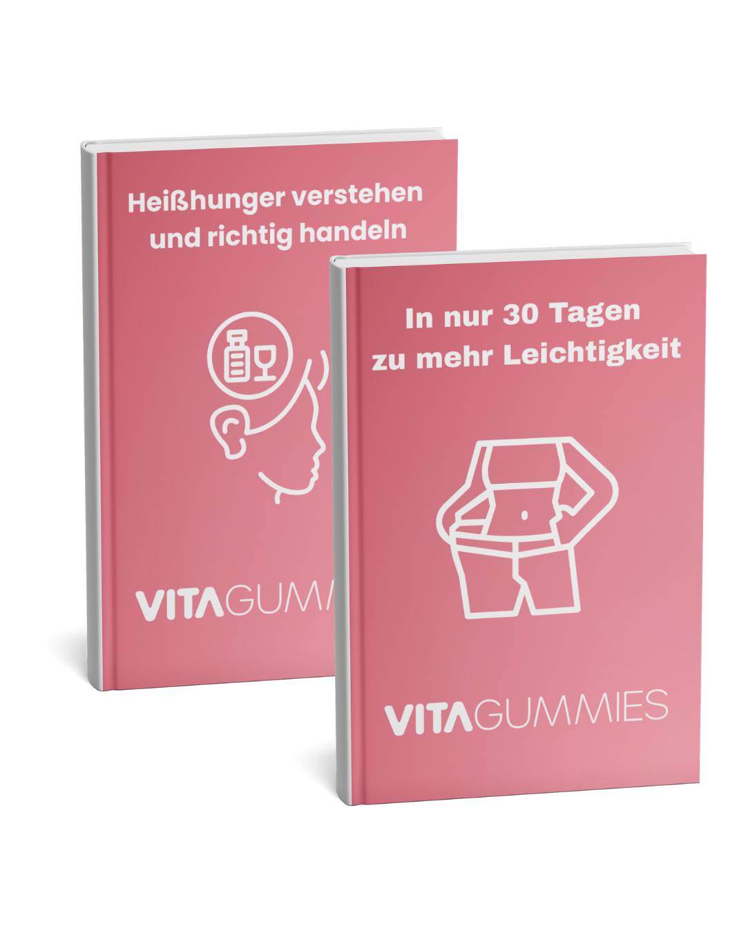 Heißhunger verstehen & 30 Tage Abnehmplan E-Book